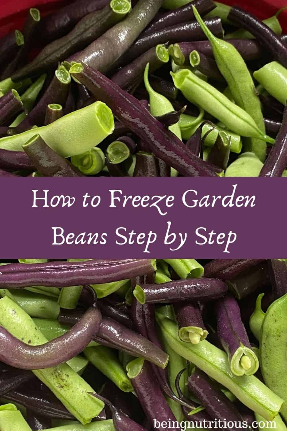 Close up of fresh beans, trimmed and snapped. Text overlay in purple rectangle: How to Freeze Garden Beans Step by Step.