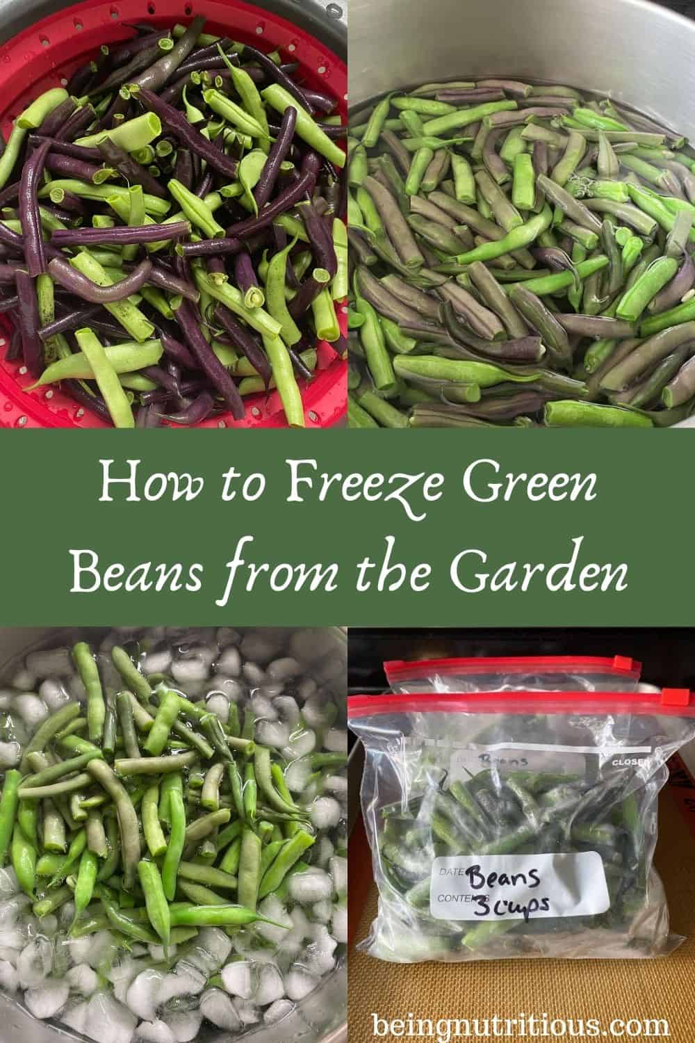 https://beingnutritious.com/wp-content/uploads/2020/08/How-to-Freeze-Green-Beans-from-the-Garden.jpg