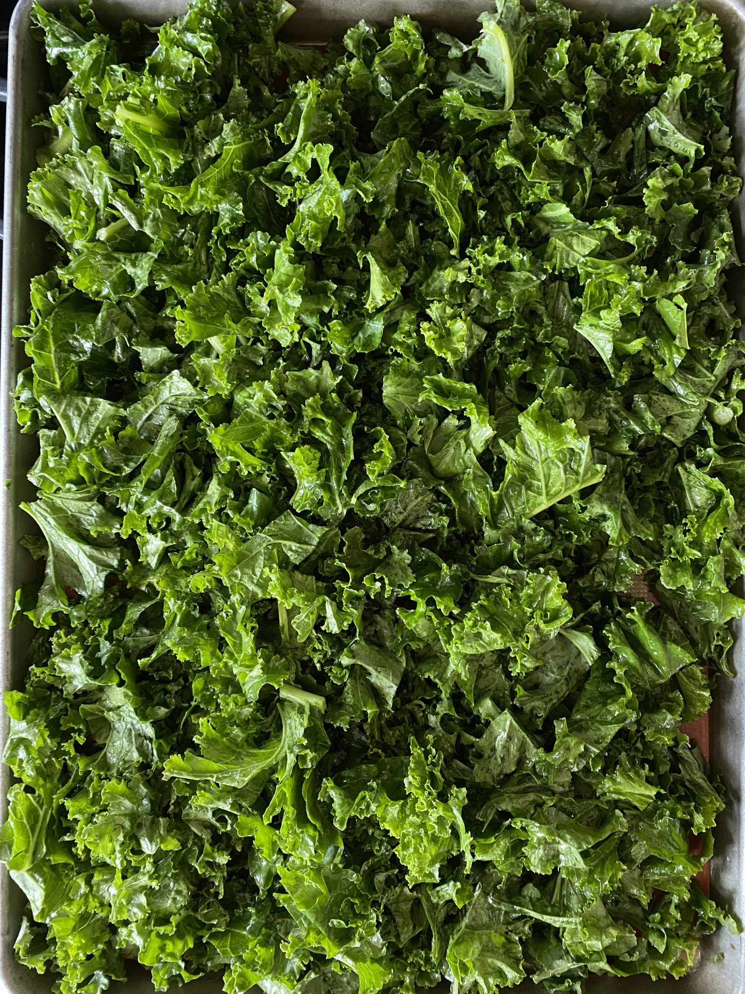 massaged kale on a baking sheet, ready for roasting.