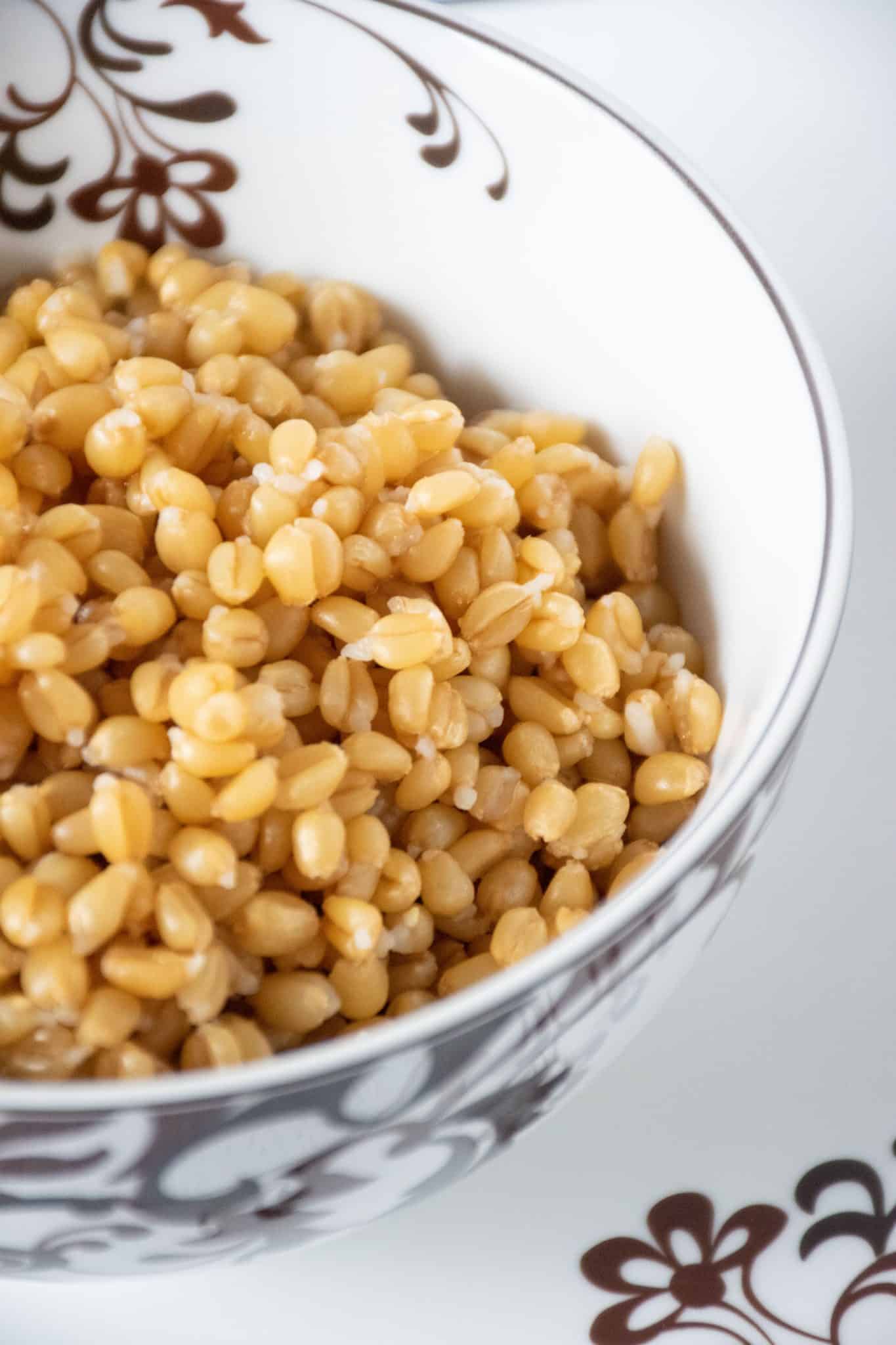 Bowl of cooked wheat berries.