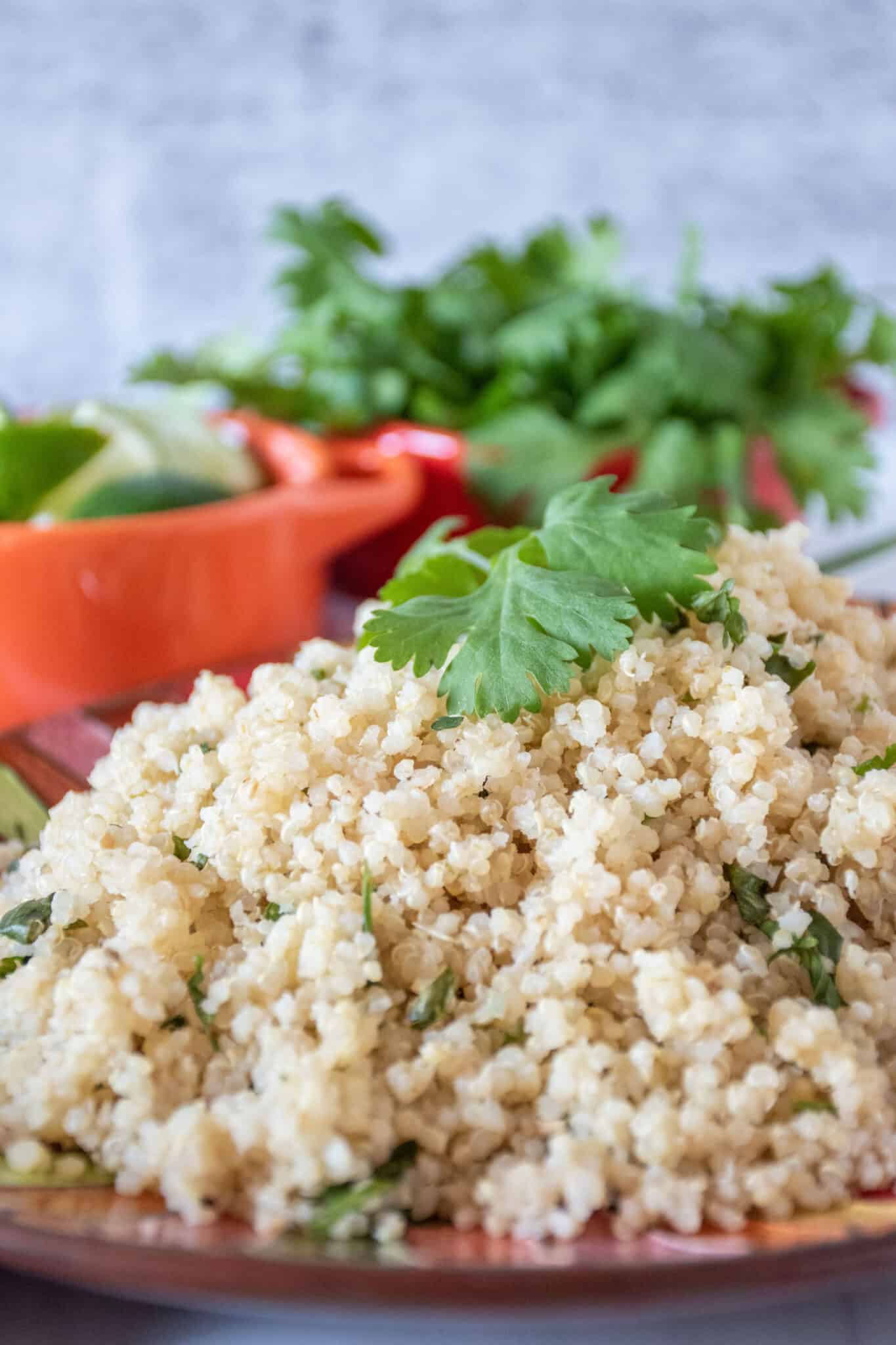 Plate of quinoa, garnished with cilantro.