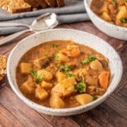 Bowl of lentil and mushroom stew, garnished with parsley.