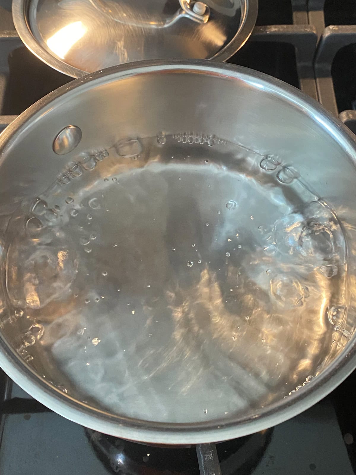 Boiling water in a pot.