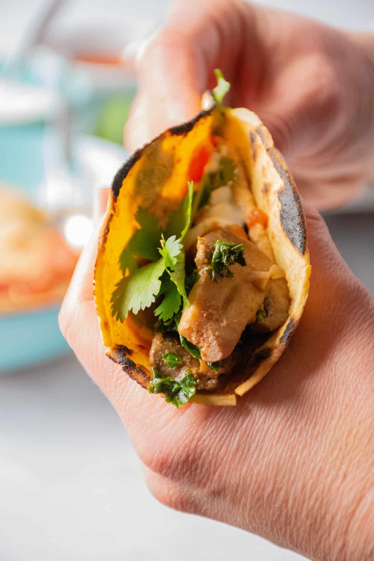 Hands holding a taco up, smeared with hummus and loaded with sauteed mushrooms, zucchini, and kale, garnished with cilantro.